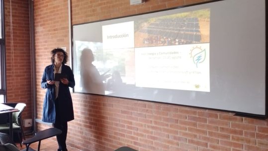 A pesquisadora do IEI Brasil durante apresentação na CLACSO 2025